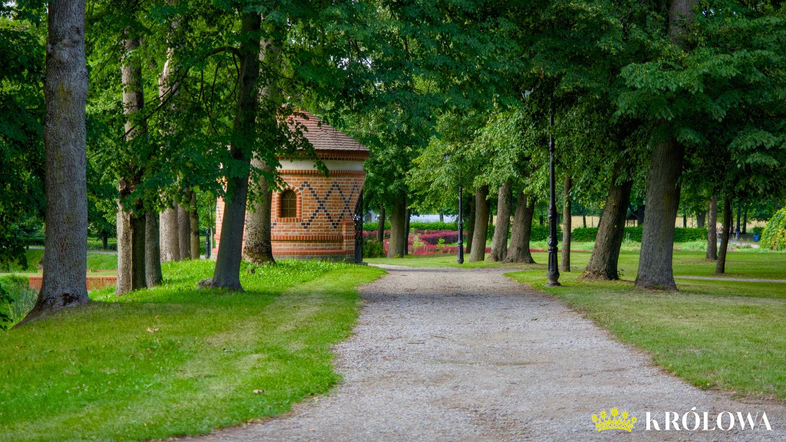 Widok na drogę kalwaryjną i kaplicę
