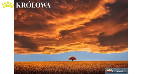 Tło niebo